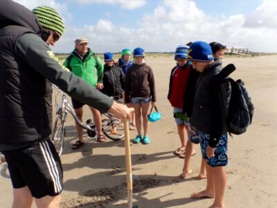 a group of people standing on a beach