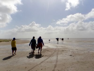 a group of people walking on a beach
