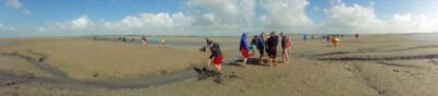 a group of people digging in the mud