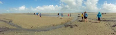 a group of people walking on a beach