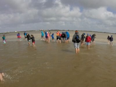 a group of people walking in the water