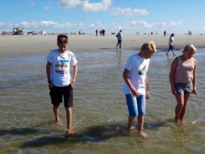 a group of people standing in shallow water on a beach