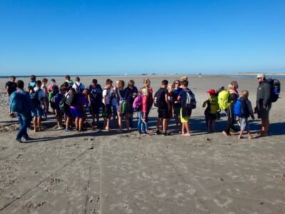 a group of children standing on a beach