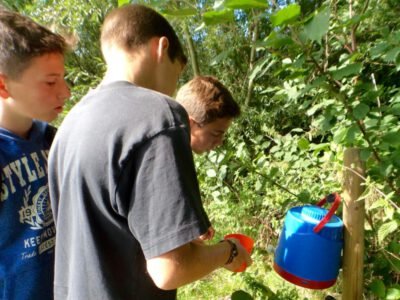 a group of boys working on a tree