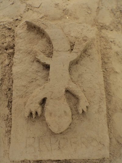 a sand sculpture of a lizard