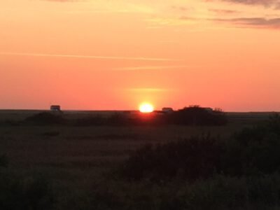 a sunset over a field