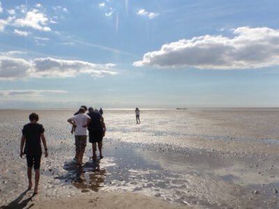 a group of people walking on a beach