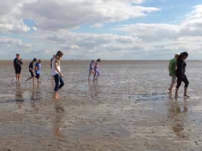 a group of kids playing on a beach
