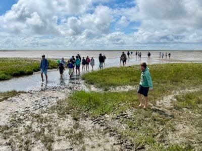 Menschen im Watt bei Ebbe