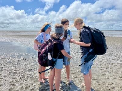 Vier Kinder am Strand erkunden Muscheln.