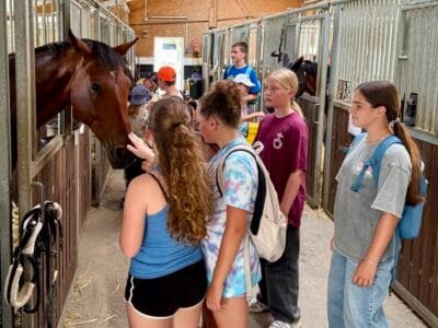 Kinder interagieren mit Pferden im Stall.