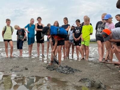 Kinder beobachten bei Wattwanderung