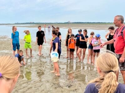 Kinder am Strand mit Eimer