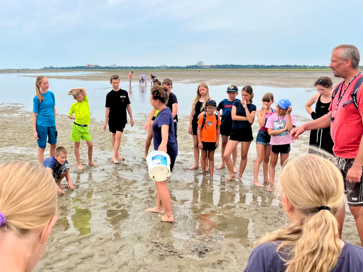 Kinder am Strand mit Eimer